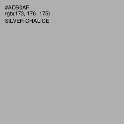 #ADB0AF - Silver Chalice Color Image